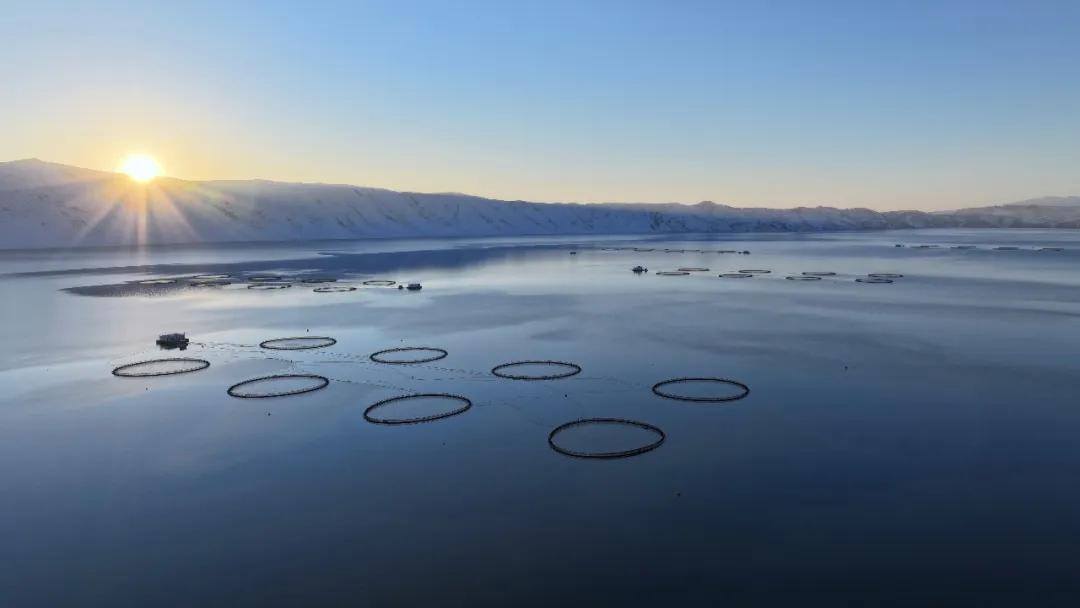 �㽭��Ҫ�����������ɡ����ز��� ƽ�����䵺���Ѵ��ģ��������