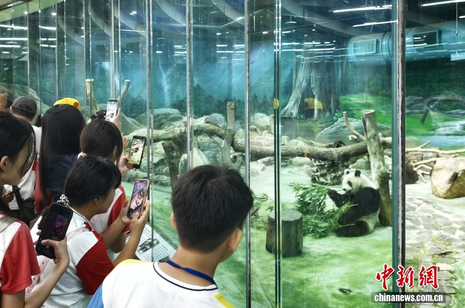 ̨����������԰����è�������ڵ��ùۿ�