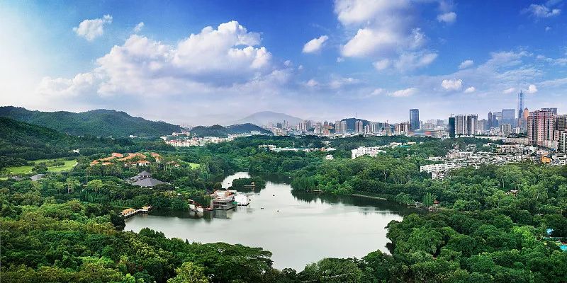 �Կ���Ϊץ�ִٽ���̬���������������ơ�������������й������Ч���˰취��