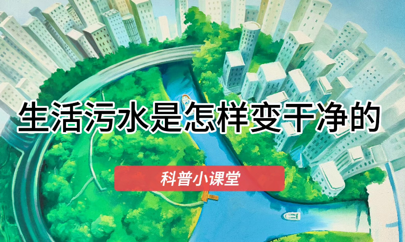 探索生活污水由浊变清的神奇之旅