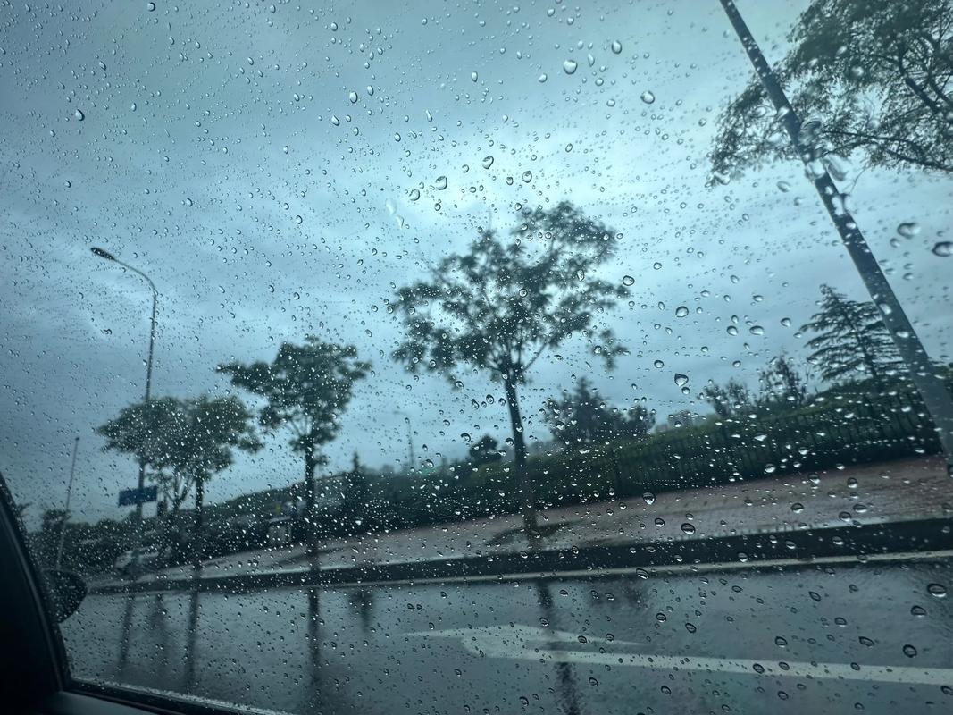 阳光余额告急,最高温将破30℃ 本周迎来连阴雨天气
