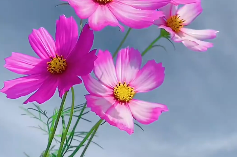�������ۣ��ķ�֪�⣬ǡ��С��