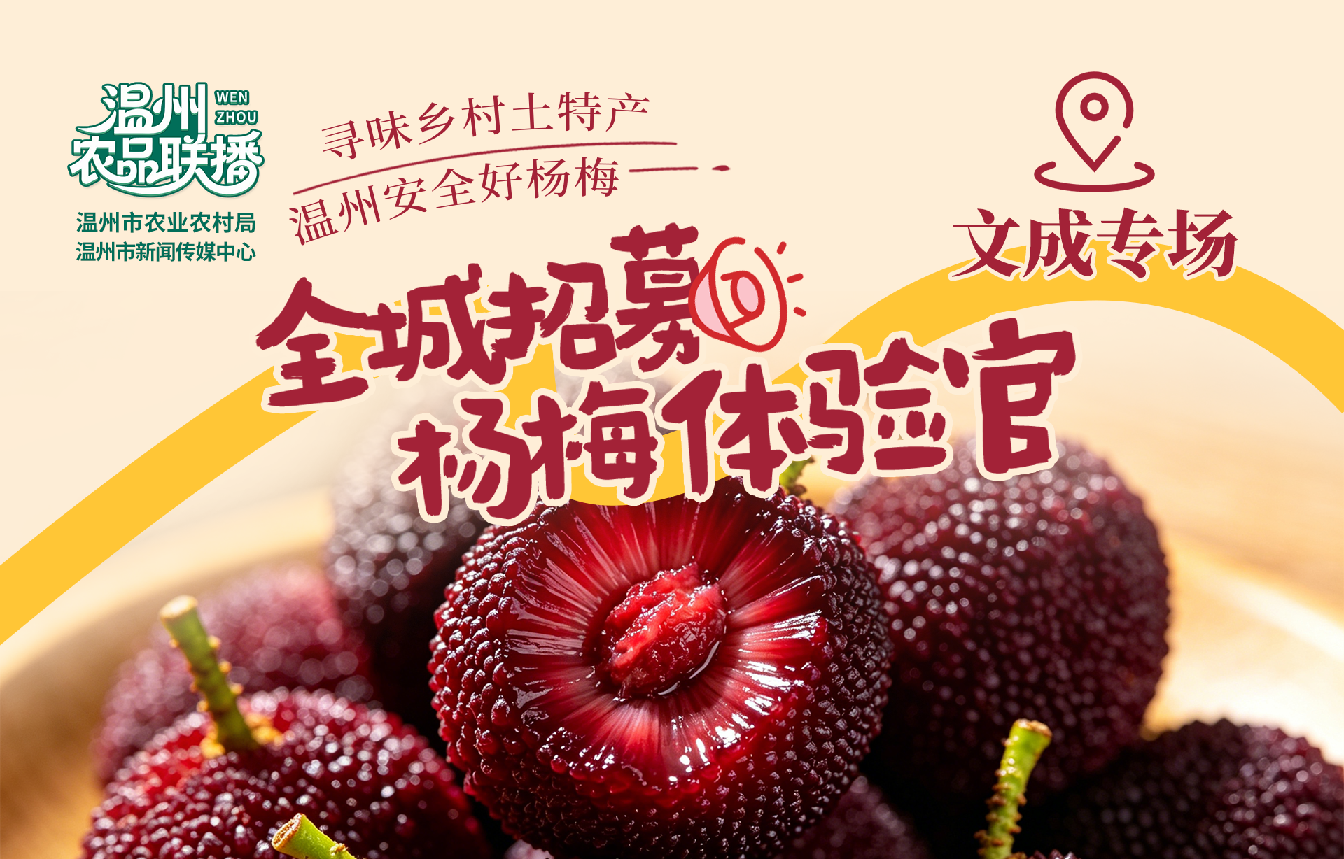 市民品鉴 好吃文成 全城招募“杨梅体验官” 等你报名!