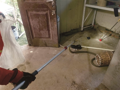 Сѧ�����������һ���۾��� ������������´���24�����߾���