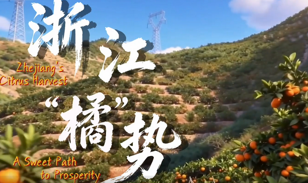 AI微党课《浙江“橘”势》
