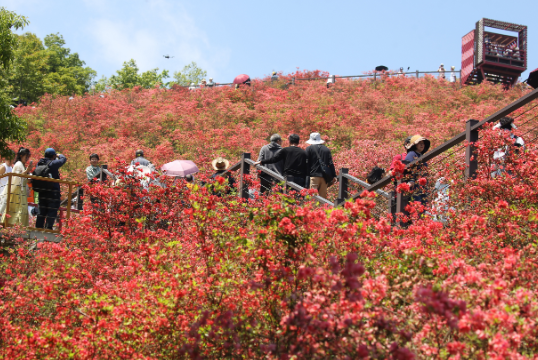 温州6地入选省级山居康养避暑指引