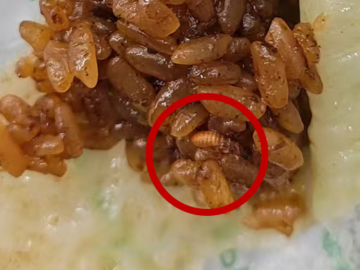 往食物塞“异物” 连环敲诈市区8家便利店被刑拘