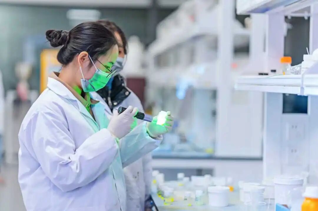 瓯海大孵化器集群进阶之路:四年“孵”出一片创新“林”