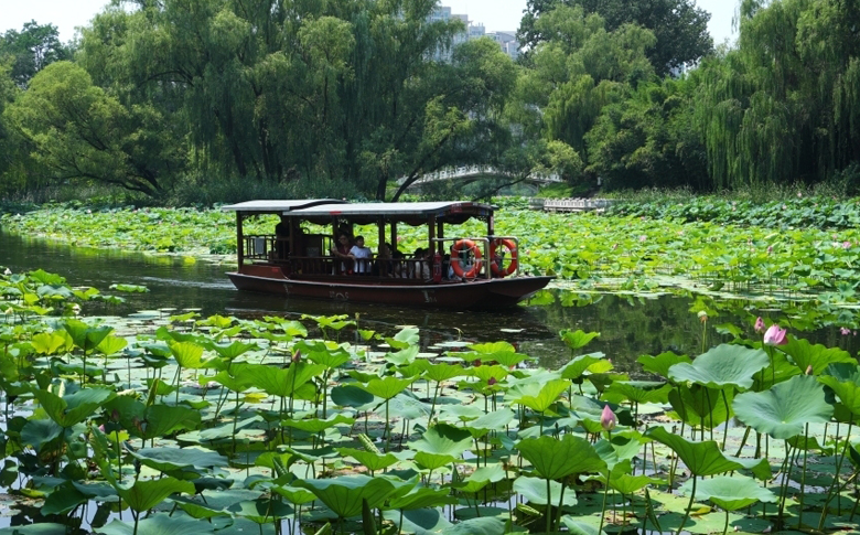 北京:市民“泛舟”荷花渡赏荷消暑
