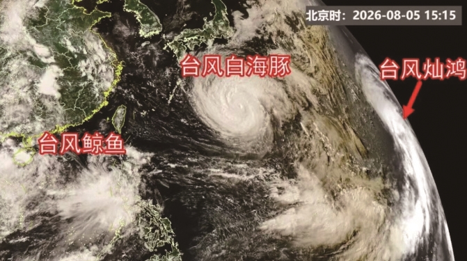 台风“白海豚”明天进入东海 “鲸鱼”“灿鸿”相继生成,形成“三台共舞”