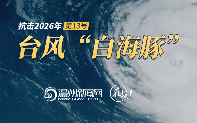 ̨�綯̬��������2026���13��̨�硰�׺��ࡱ