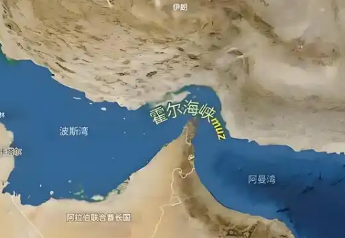 �����ճ��������ٷְ١����ƻ���ľ�Ⱥ�Ͽ