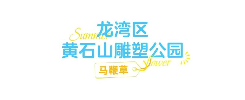 你是夏天的话，也会偏爱被「花海」承包的温州！ - 配图27