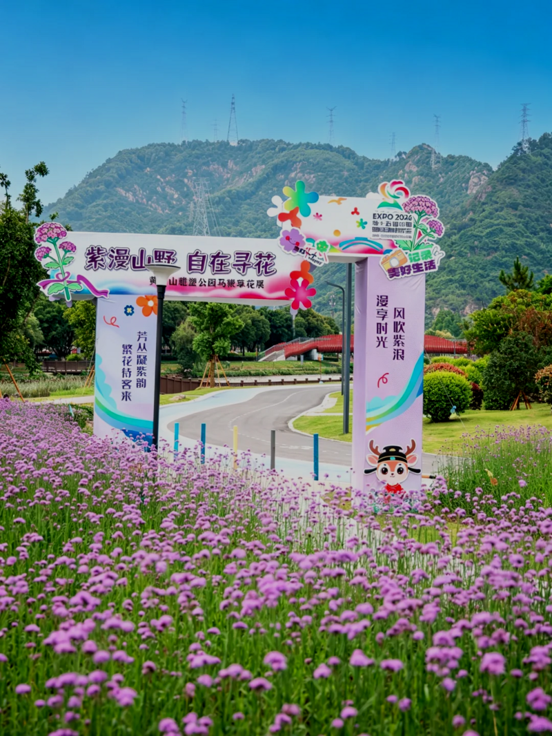 你是夏天的话，也会偏爱被「花海」承包的温州！ - 配图30