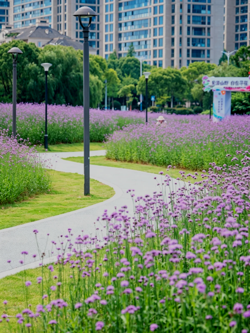 你是夏天的话，也会偏爱被「花海」承包的温州！ - 配图31