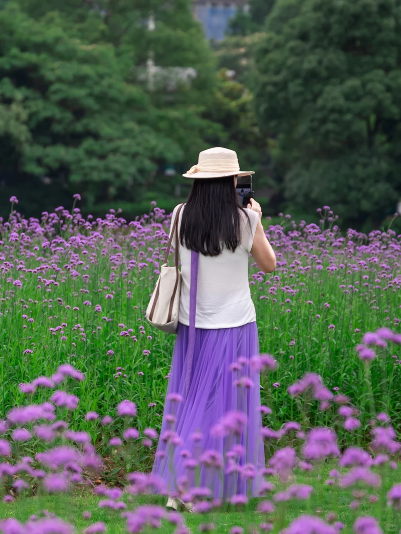 你是夏天的话，也会偏爱被「花海」承包的温州！ - 配图33