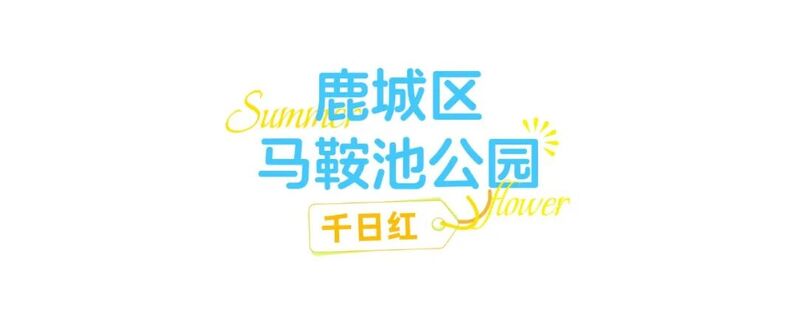 你是夏天的话，也会偏爱被「花海」承包的温州！ - 配图35