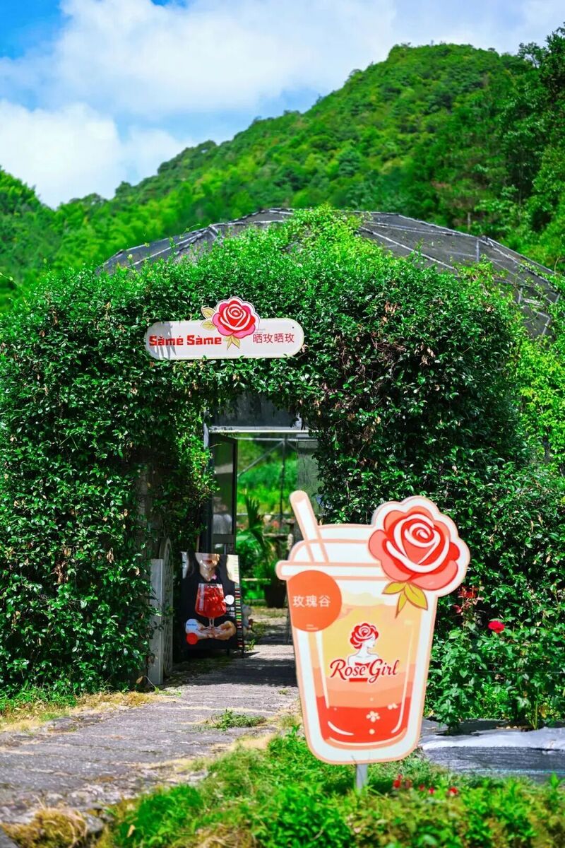 你是夏天的话，也会偏爱被「花海」承包的温州！ - 配图46