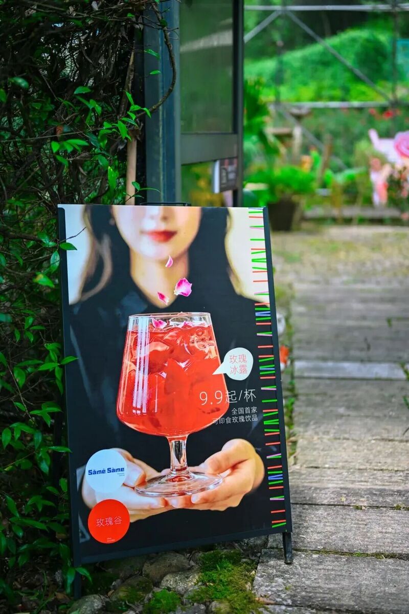 你是夏天的话，也会偏爱被「花海」承包的温州！ - 配图50