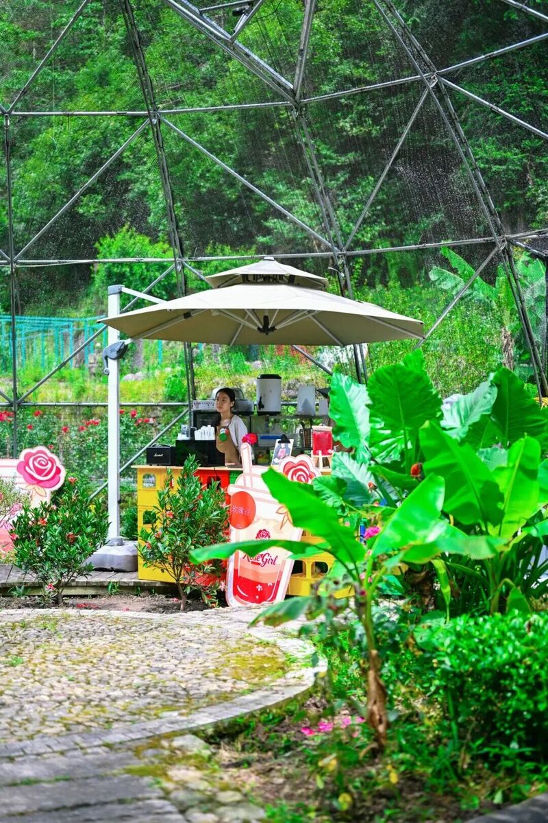 你是夏天的话，也会偏爱被「花海」承包的温州！ - 配图51