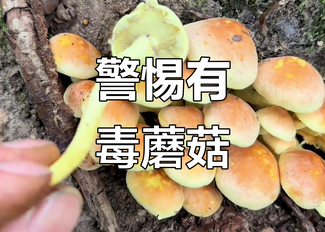 Ů���̻�����ժ��Ģ������ˮ�������ж�