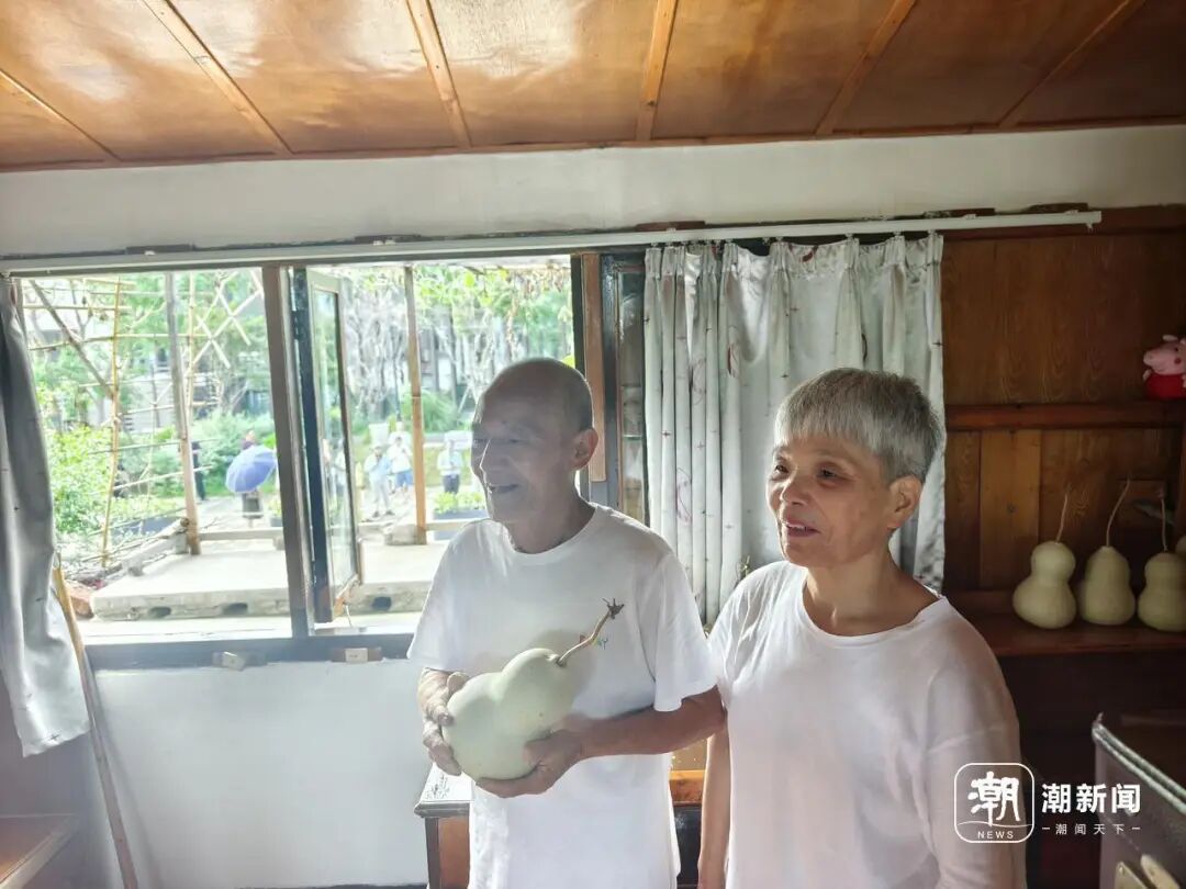浙江“葫芦娃爷爷”回应把7个葫芦全剪了:它们是我的孩子,再多钱都不卖