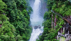 奔赴温州泰顺,邂逅藏在群山中的飞瀑盛景