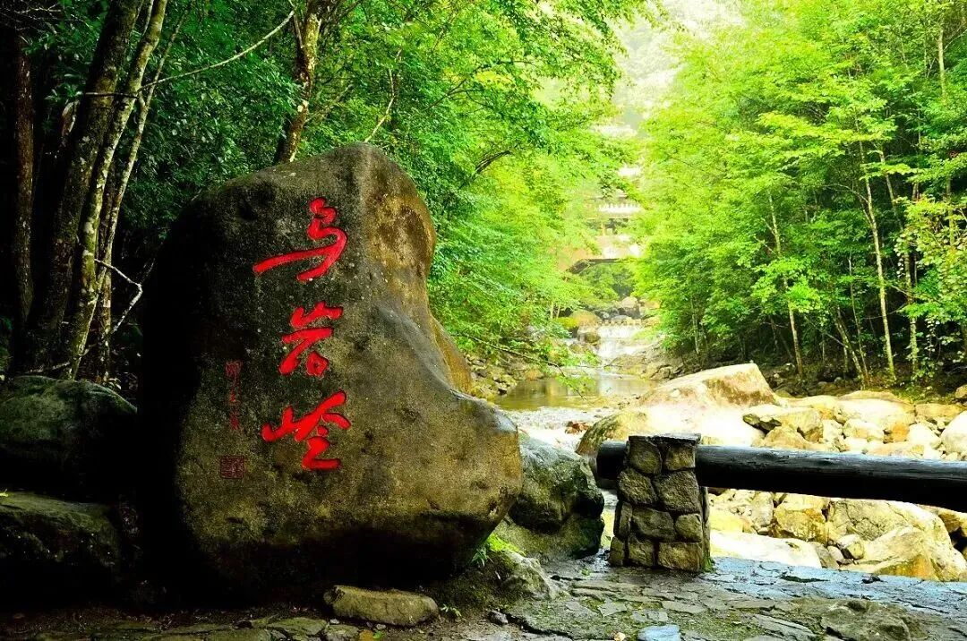 一线“串”温台！“雁楠飞仙海天游”主题线路发布 - 配图45