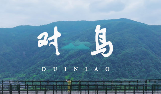 文化进万家·乐清山歌《对鸟》在雁荡山唱响