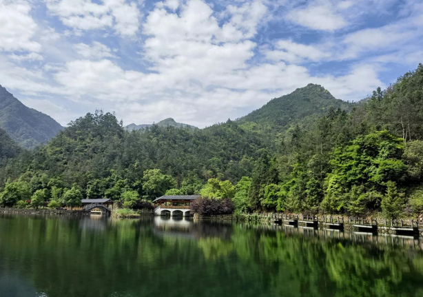 “友谊使者”在温开枝散叶成参天大树