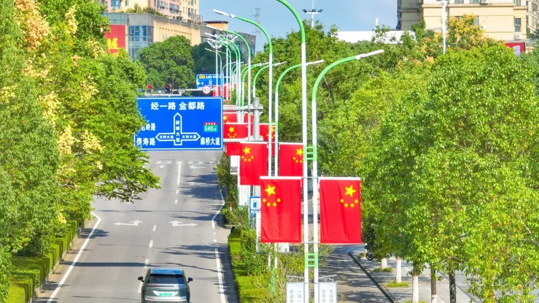 温州，红了！ - 配图36
