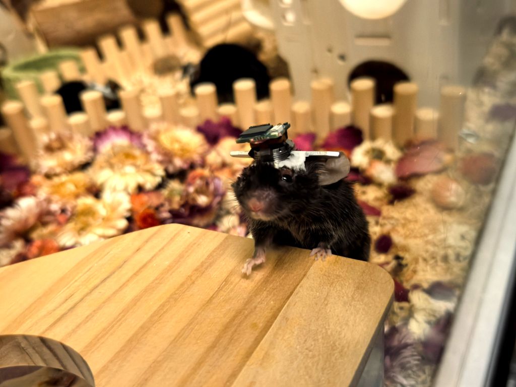 �ؽ�1�� �ҹ���ѧ�����������������߽����΢��