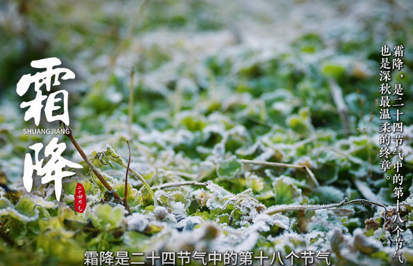 霜降:好事成“霜”,事事有甜