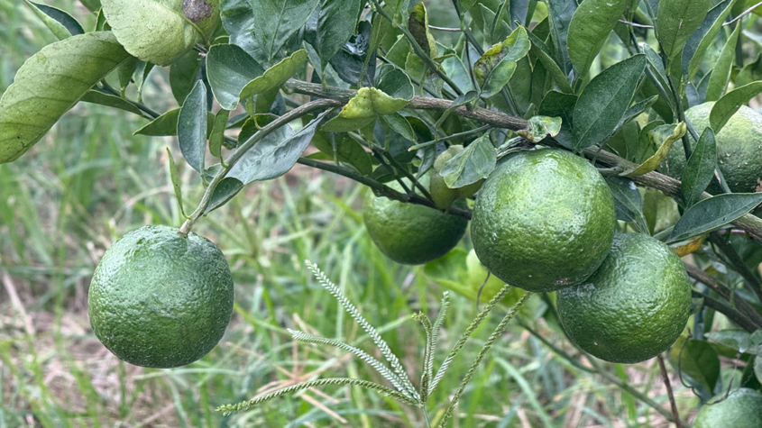 ����걸̡����������У������˵�ǵ���һ����Ҫ����